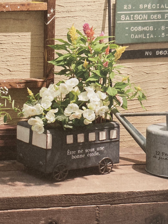 《可愛いバス型 ブリキ鉢》観葉植物 多肉植物 お花の寄せ植えに ガーデニング ビオラ パンジー アンティーク 465 2枚目の画像