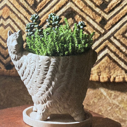 《可愛い大人気 アルパカポット 鉢 》 観葉植物 多肉植物 お花寄せ植え ガーデニング アンティーク ビオラ 469 2枚目の画像