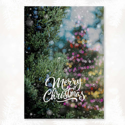 ジュニパーの実、冬の祝福と実りに感謝を込めて、青い実のクリスマスポスター 4枚目の画像