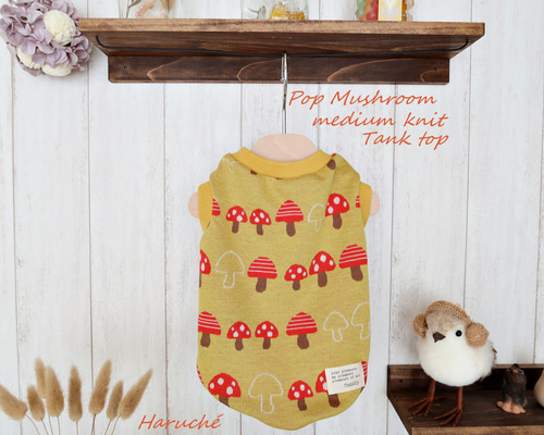 a6d4e393688839ab164dfb63dd267d