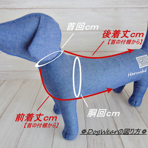 【着後レビューで 送料無料】 犬服 ❁完成品 カラー ニット生地 ポップきのこ柄 Mサイズ❁ 犬服・アクセサリー