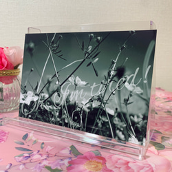 【No.025】花 モノクロ 白黒ポストカード1枚　裏無地 2枚目の画像