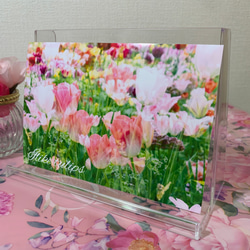 【No.030】花 チューリップ カラフル フラワーアート ポストカード1枚　裏無地 2枚目の画像