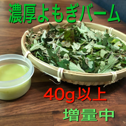 たこ焼き♡ 　大容量10g×20個　よもぎ蒸し　ドクダミ　モリンガ　入浴剤 3種のハーブ配合 大容量10g×20個 よもぎ蒸し ドクダミ モリンガ