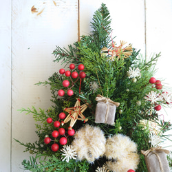 Creema限定　壁掛けクリスマスツリー　サンキライとクレマチスシード　北欧の森　 2枚目の画像