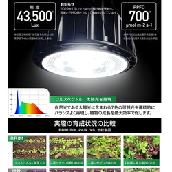 植物育成LEDライトスタンド（ウォールナット無垢） 9枚目の画像