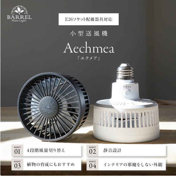 植物育成LEDライトスタンド（ウォールナット無垢） 