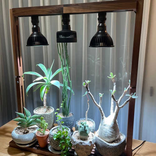植物育成LEDライトスタンド(ウォールナット無垢) 一輪挿し 植物育成LEDライトスタンド(ウォールナット無垢) 一輪挿し