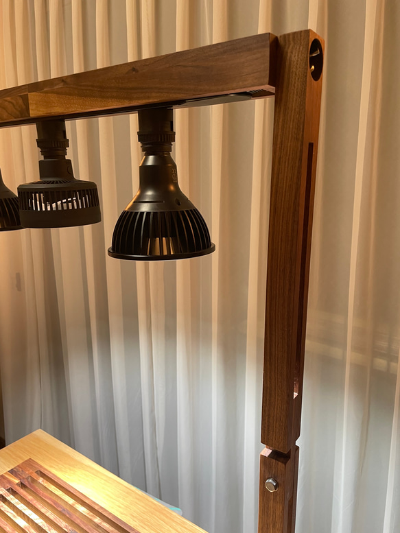 植物育成LEDライトスタンド（ウォールナット無垢） 