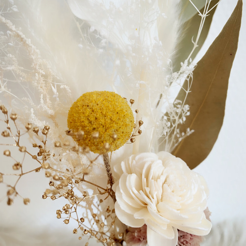 しめ縄　しめ縄飾り　ナチュラル　ホワイト しめ縄しめ縄飾りナチュラルホワイト