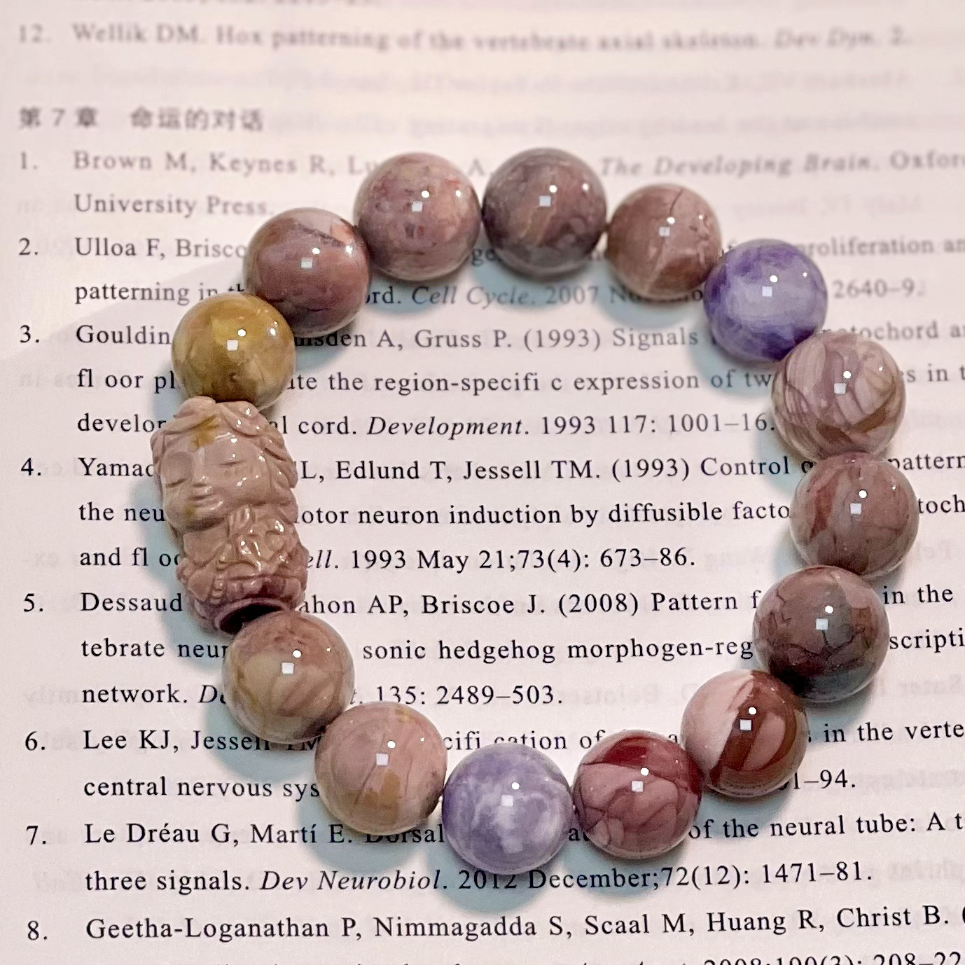 【15号】 相手の好みに合ったリーダーへのアドバイスをしてからリーダーの注目を集めます。 7,040円