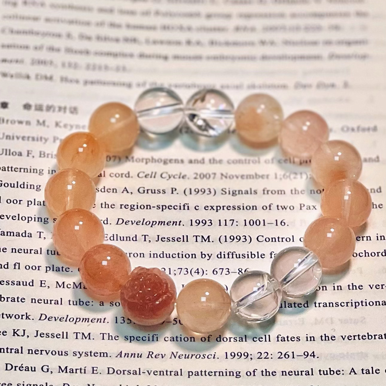 【24号】 自分を助けてくれる人を惹きつける、高貴な体格を作ります。