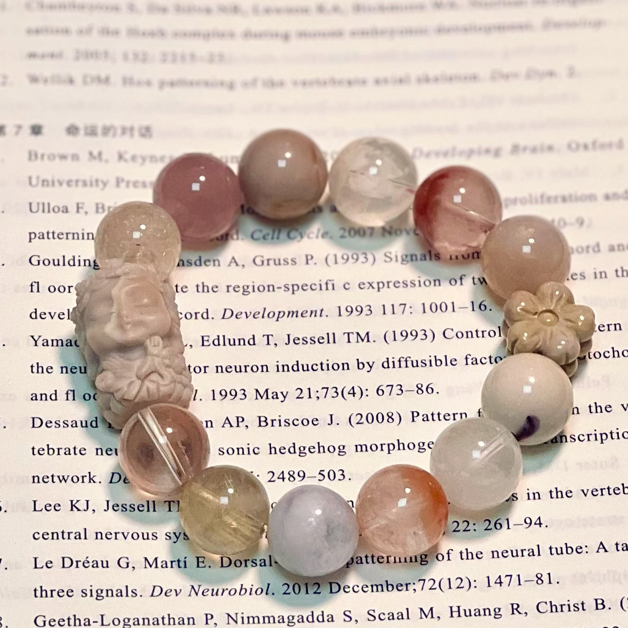 【25号】 感情を安定させ、ゆっくりと望む力を得ます