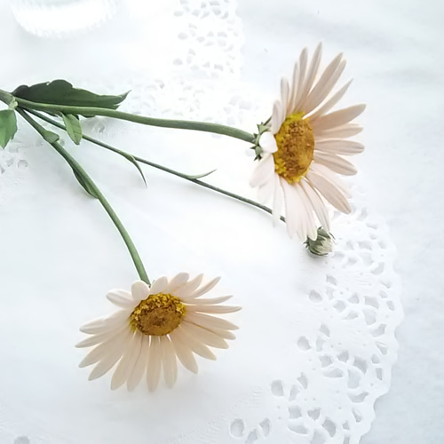 現品限り】❁黒芯・ブラウンのガーベラとベージュのマーガレットの2本