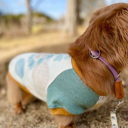 華やかな花柄フリース【送料無料】【ピジョンルージュ】ダックス 小型犬用洋服 綿ノースリーブ ラグラン 犬服 ダックス プ 5枚目の画像