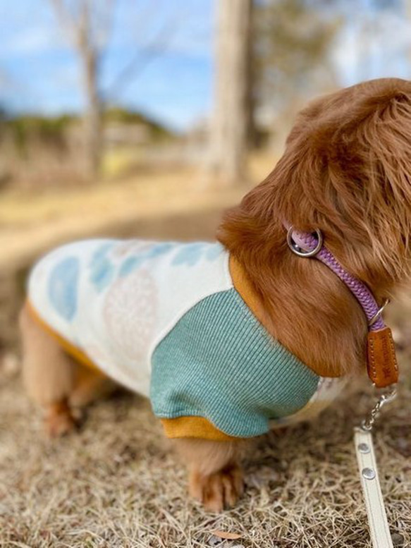 華やかな花柄フリース【送料無料】【ピジョンルージュ】ダックス 小型犬用洋服 綿ノースリーブ ラグラン 犬服 ダックス プ 5枚目の画像