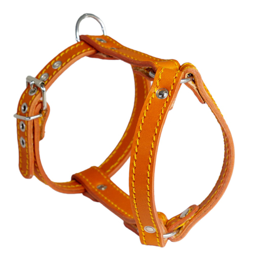小型犬 ハーネス 胴輪 革 サイズオーダー：H2タイプ リード・首輪