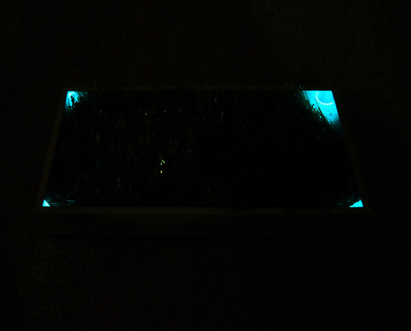 緑(グリーン)の芝(植物)の小物入れトレイ”midori-MA” 8枚目の画像
