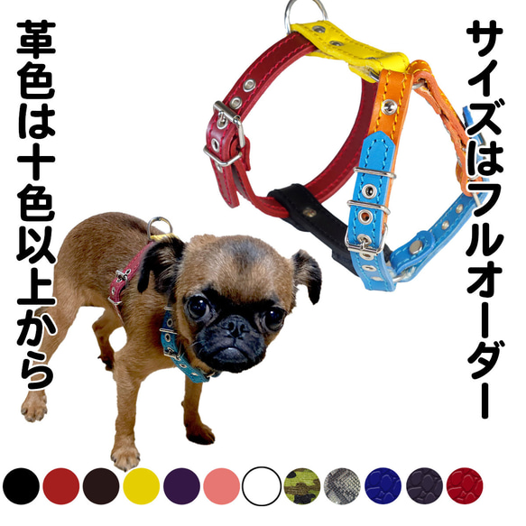 楽天市場】【HIP DOGGIE】アウトレット スタッズ首輪 女の子