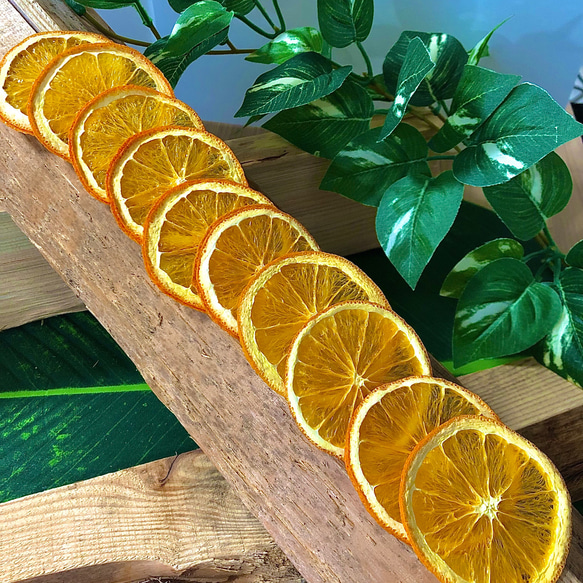 【最高級】ドライオレンジ　２０枚　ドライフルーツ　花材　素材 3枚目の画像