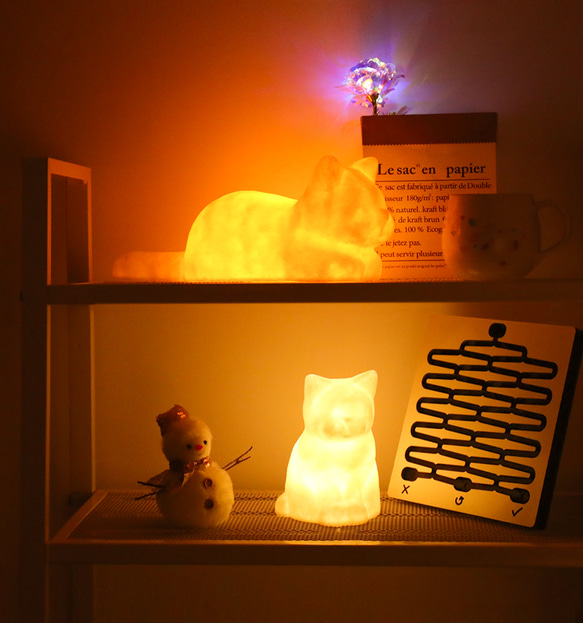 萌睡小貓燈冷暖雙色臥室床頭燈陪睡燈貓貓氛圍燈貓咪小夜燈夜貓子 第2張的照片