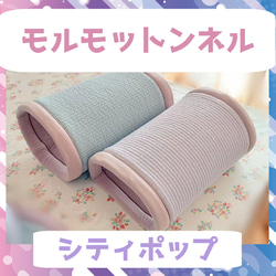 【7/9再販】モルモットンネル✨シティポップ(スムースニット) 3枚目の画像