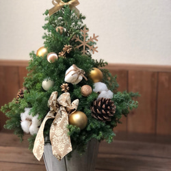 本物のクリスマスツリー　ゴールド　大きめ45cm 2枚目の画像