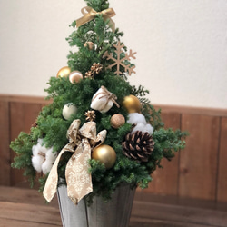 本物のクリスマスツリー　ゴールド　大きめ45cm 1枚目の画像