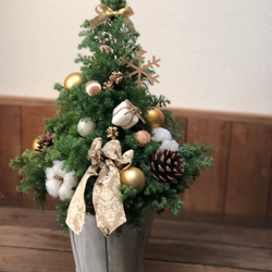 本物のクリスマスツリー　ゴールド　大きめ45cm 3枚目の画像