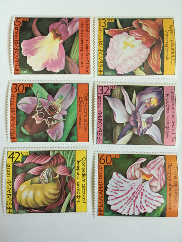ブルガリア  ランの花の切手6枚セット 未使用 1枚目の画像