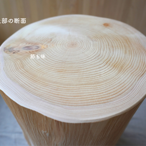 現物のみ】青森ヒバの大きな丸太No.2 椅子（チェアー）・スツール ヒバ