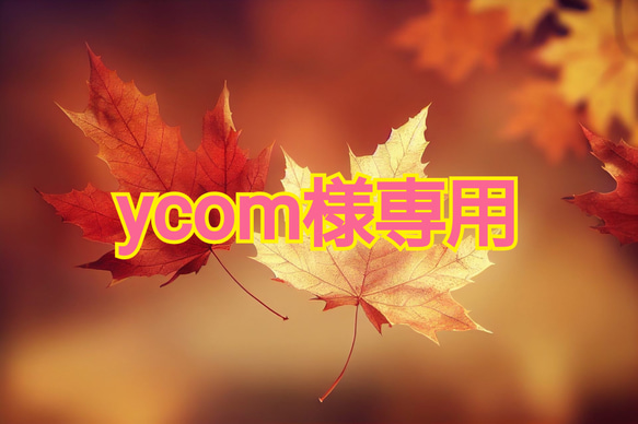 Ycom様専用 1枚目の画像