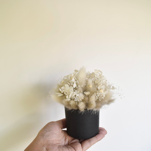 【ギフトにおすすめ】プリザーブドフラワーアレンジメントミニポット        Ω 人気・おすすめ｜使いやすい・旅行におすすめ 品質保証 全国発送 日本国内発送・最短翌日お届け