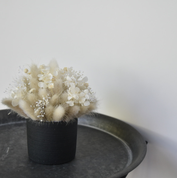 【ギフトにおすすめ】プリザーブドフラワーアレンジメントミニポット        Ω 人気・おすすめ｜使いやすい・旅行におすすめ 品質保証 全国発送 日本国内発送・最短翌日お届け