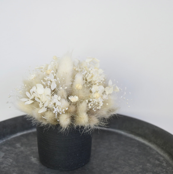 【ギフトにおすすめ】プリザーブドフラワーアレンジメントミニポット        Ω 人気・おすすめ｜使いやすい・旅行におすすめ 品質保証 全国発送 日本国内発送・最短翌日お届け