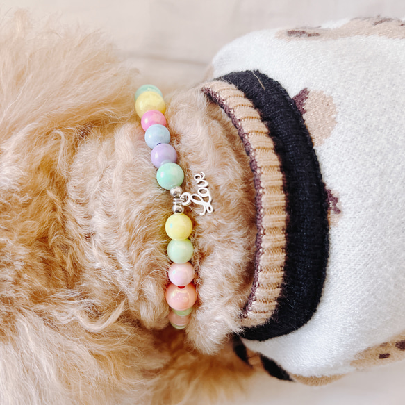 犬、猫ペット用首輪　ネックレス　テディベア・イエロー×うる艶ビーズ　マルチ　内径24センチ 11枚目の画像