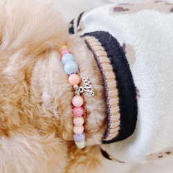 犬、猫ペット用首輪　ネックレス　テディベア・パープル×うる艶ビーズ　マルチ　内径24センチ 10枚目の画像
