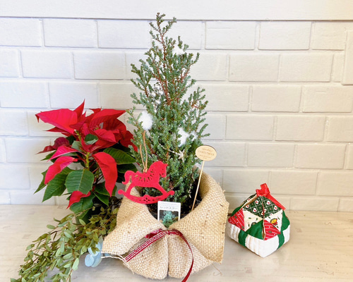 dba1ca1a24be62b90b8664d921c166