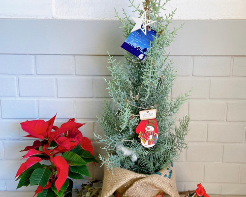 edfe5fc95754940e41700154a0845c