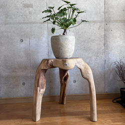 664e0c12859dccf8a9617bce79f558