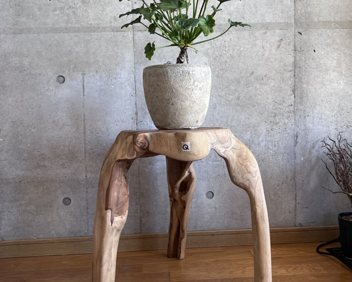 664e0c12859dccf8a9617bce79f558