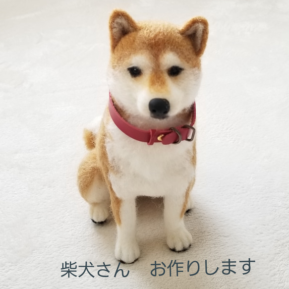 [受注制作]　羊毛フェルト　柴犬　オーダーメイド うちの子オーダー　 1枚目の画像