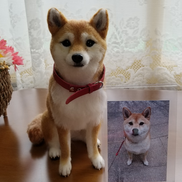 [受注制作]　羊毛フェルト　柴犬　オーダーメイド うちの子オーダー　 9枚目の画像