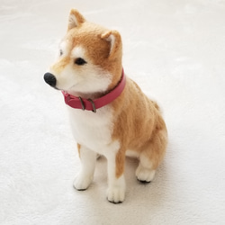 [受注制作]　羊毛フェルト　柴犬　オーダーメイド うちの子オーダー　 3枚目の画像