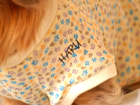 【無料お名前入れ】可愛い花柄のラグランタイプコットンウェア【送料無料】【ルームフラワー】  ダックス 小型犬用洋服 ルー 14枚目の画像