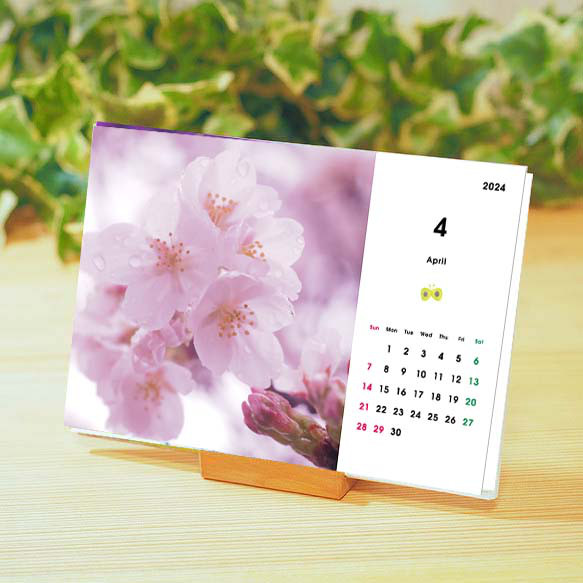 【新作】オリジナル風景花写真 卓上カレンダー2024F ポストカードサイズ 月曜始まりも可 1枚目の画像