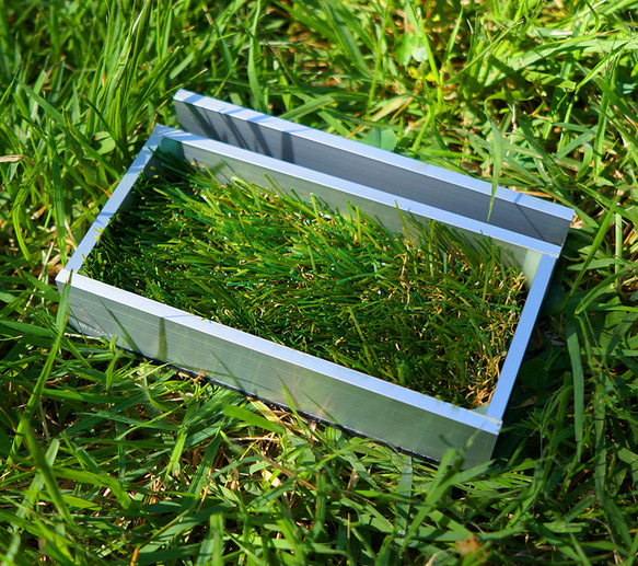 緑(グリーン)の芝(植物)の小物入れトレイ”midori-MD” 3枚目の画像