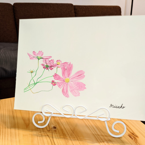 直営店に限定 秋桜／水彩色鉛筆 16876642｜Creema 通販 ien✼ｲｴﾝ 絵画 原画 絵画
