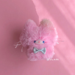 c様ご確認ページ♡キャンディちゃん クルクルくせっ毛のロップちゃん