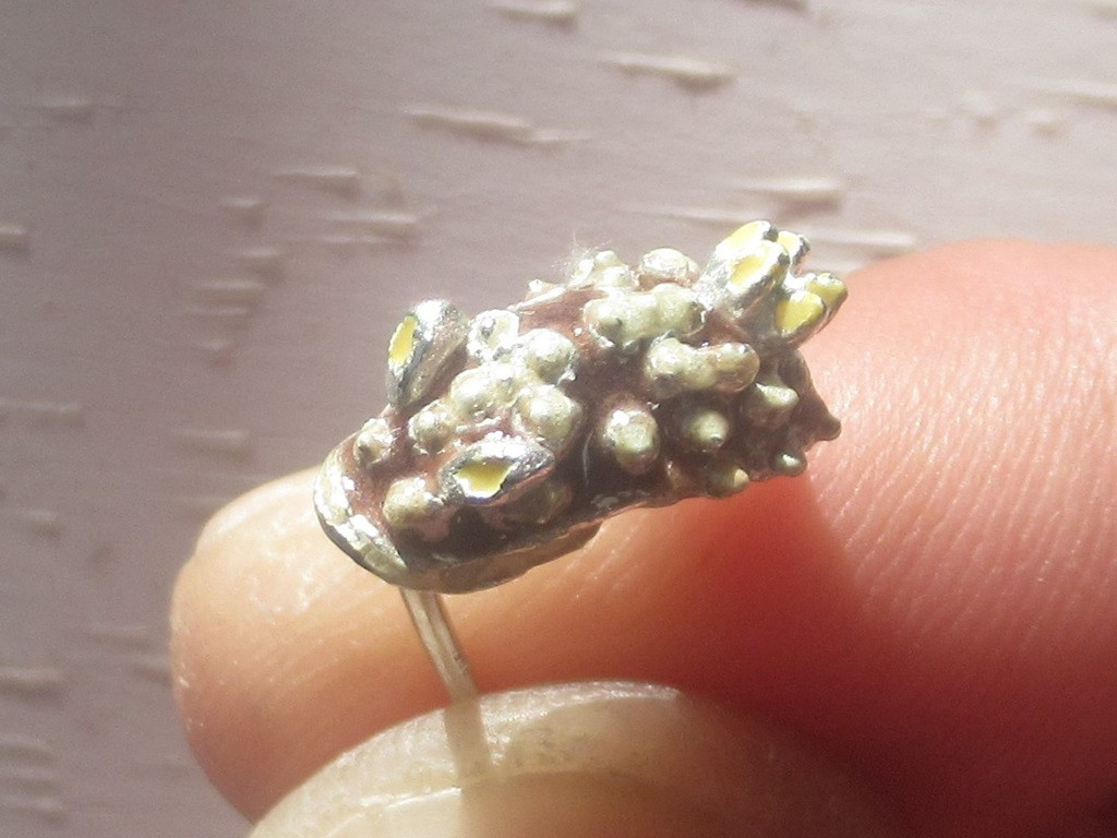 ＜＜キカモヨウウミウシのピアス　片耳＞＞　うみうし　ダイビング